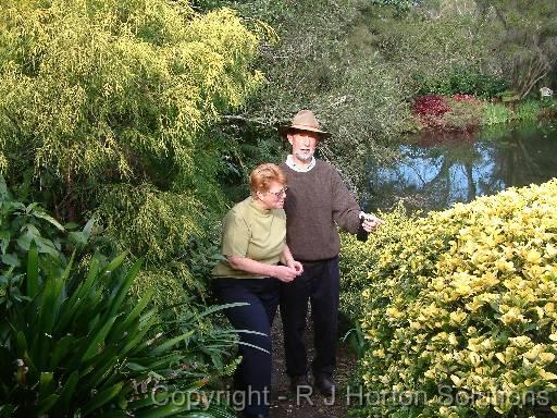 Foliage colourJeff Howes 